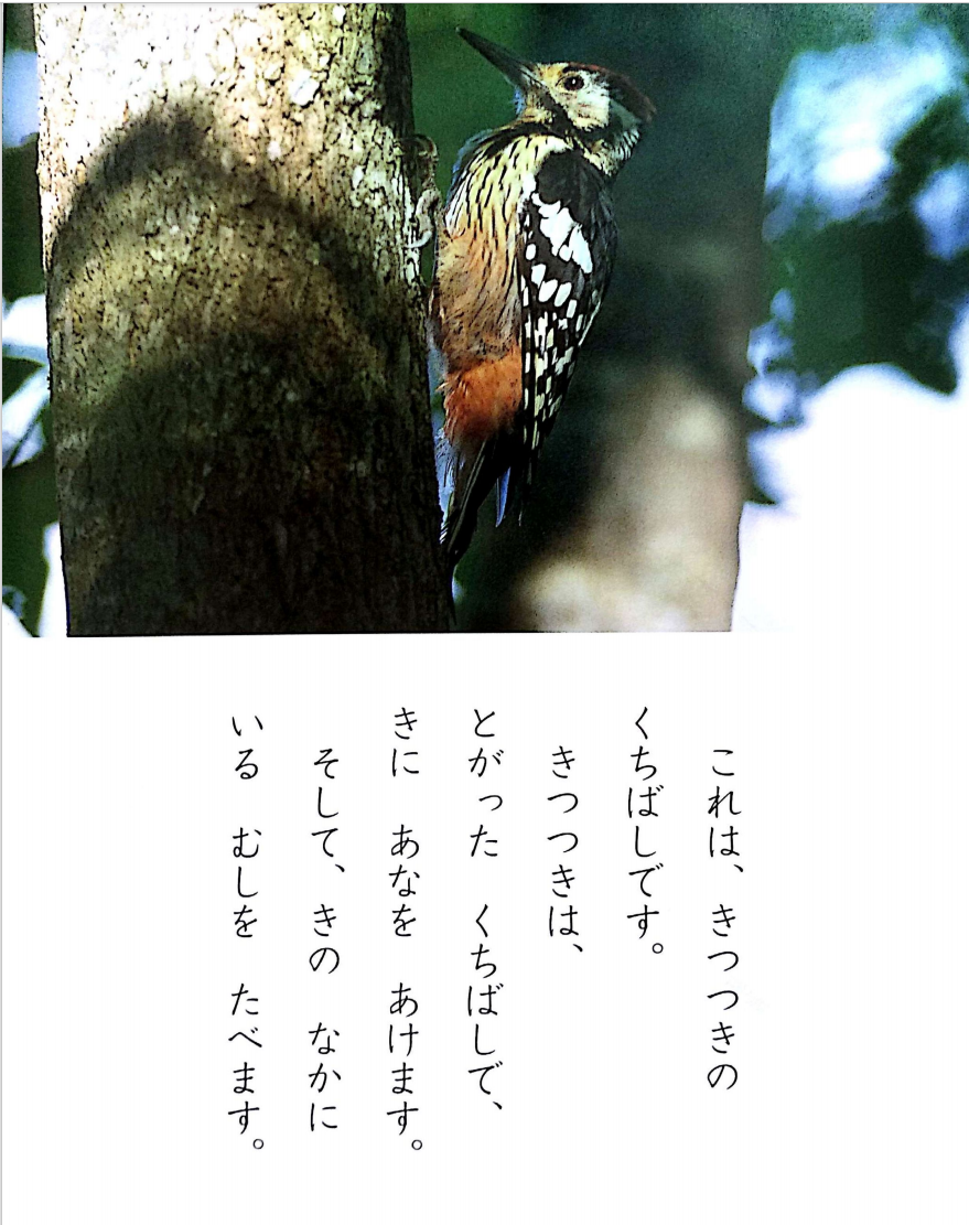 auto' save error" message test