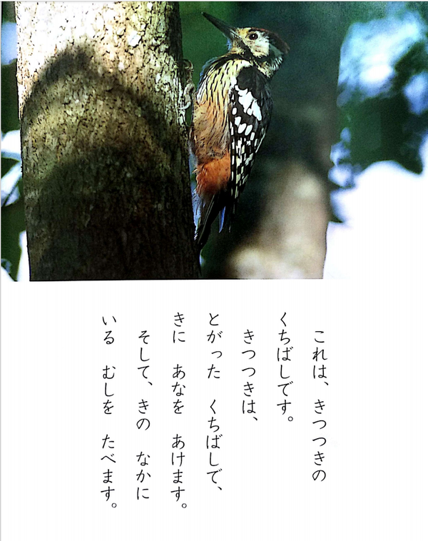 auto' save error" message test